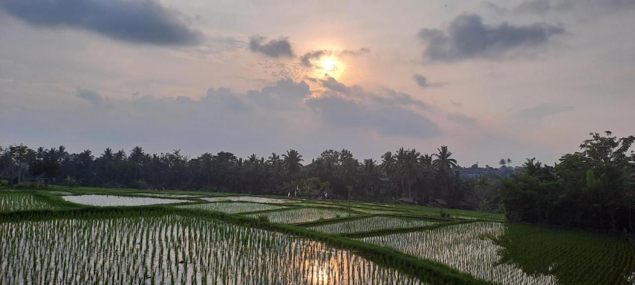 Galang Hari Bed & Breakfast Ubud (Bali)