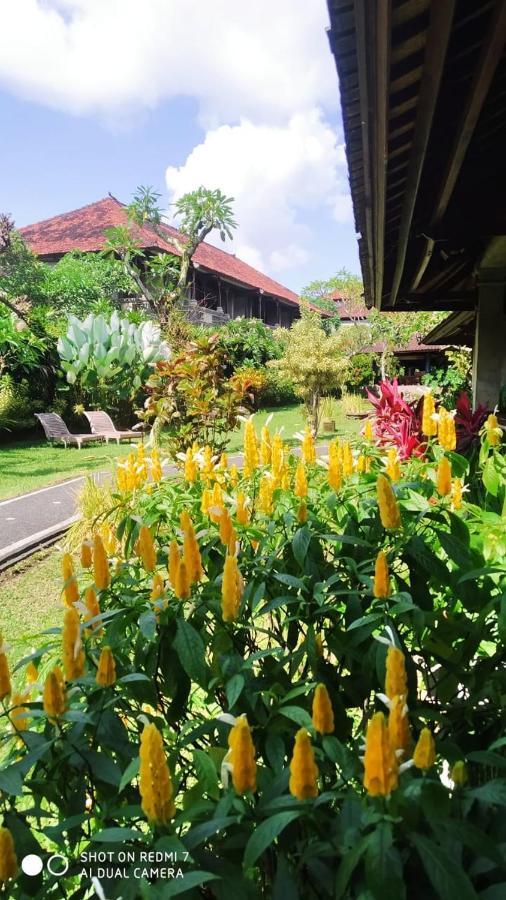 Guest house Puri Padi Ubud (Bali)