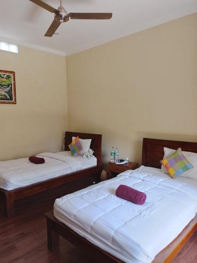Nami House Rumah tetamu 2*