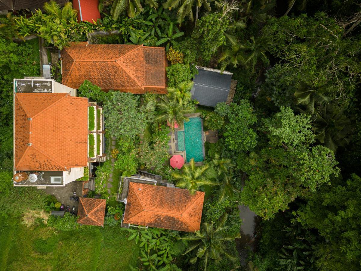 Sunshine Guest house 3*