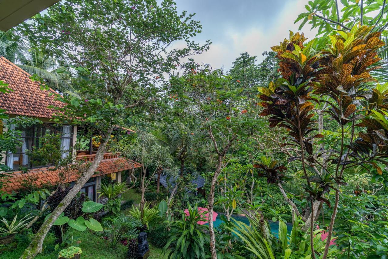 Sunshine 3* Ubud (Bali)