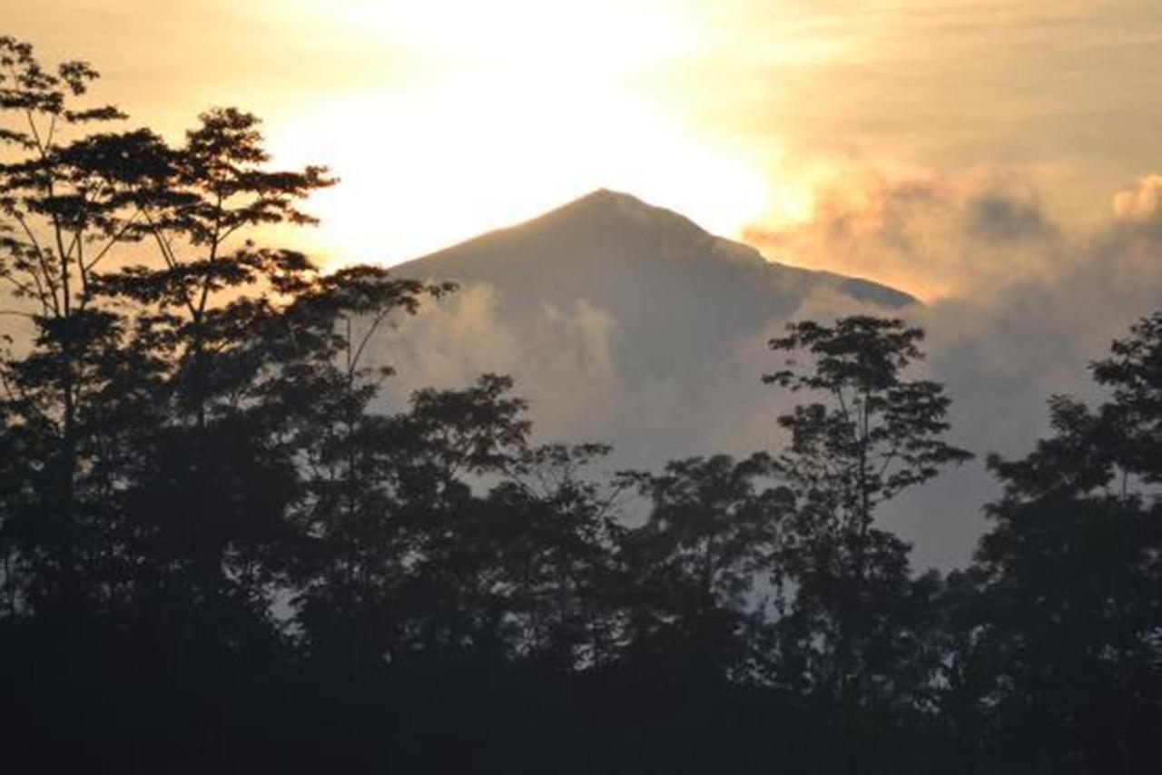 Sunia Jungle View By Eps Ubud (Bali)