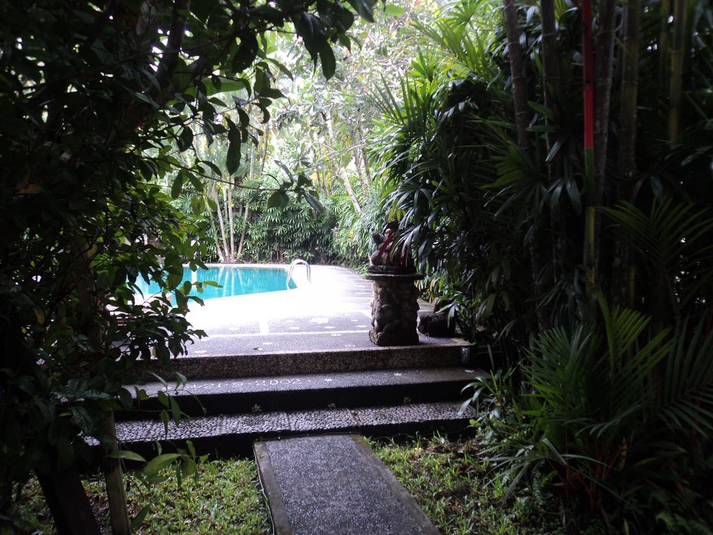 Guest house Bhuana Alit 2*