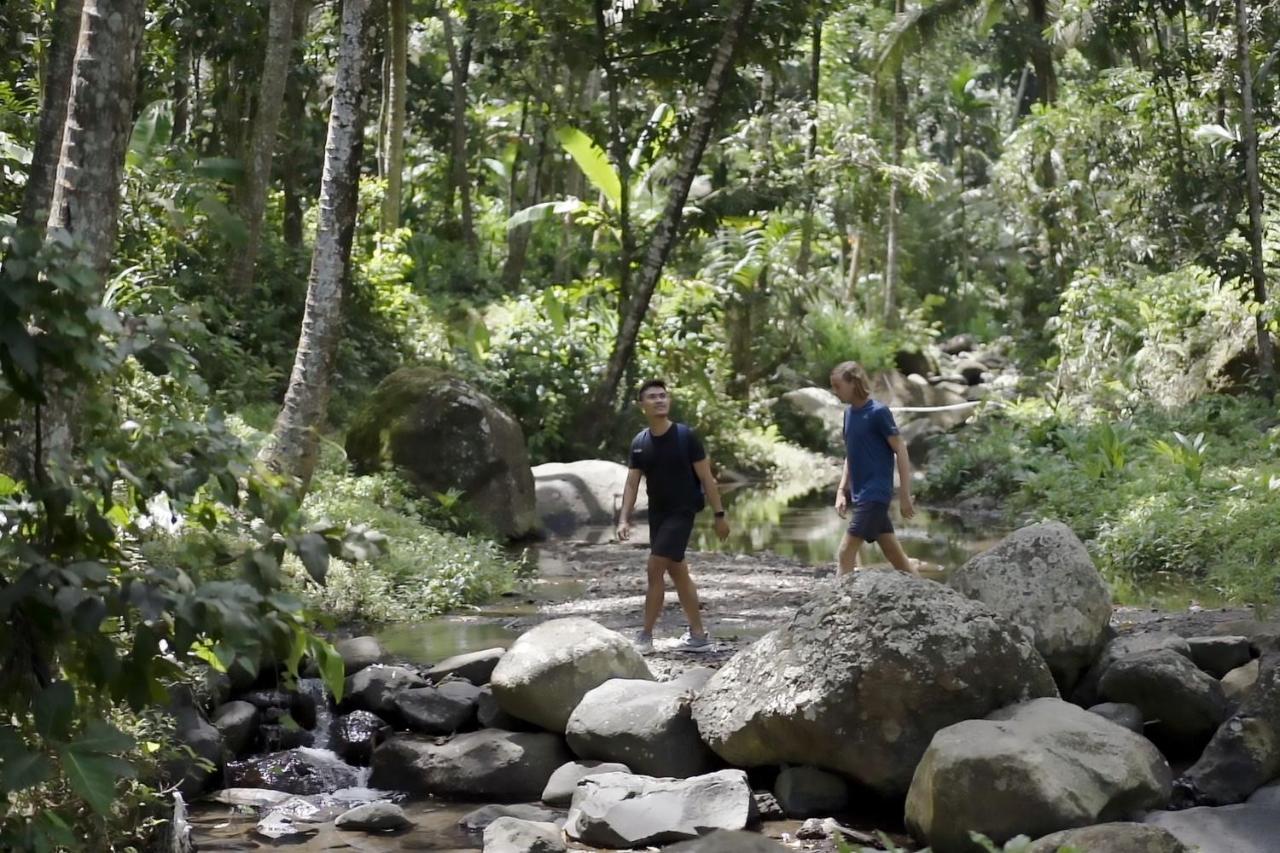 Kaura Bali Ubud (Bali)