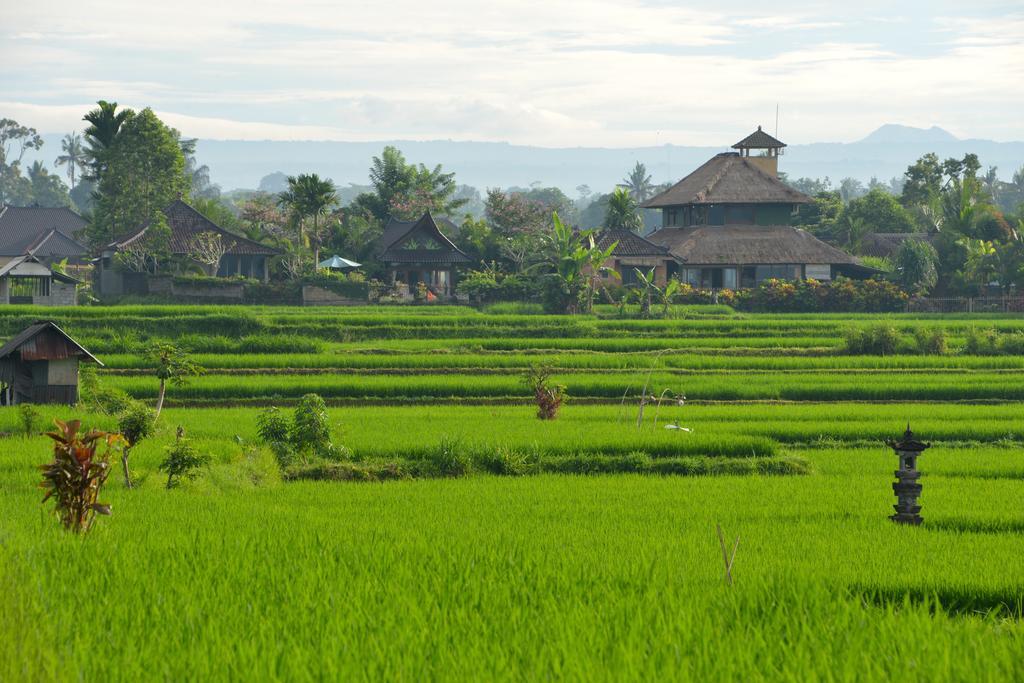 Devi's Place 2*
