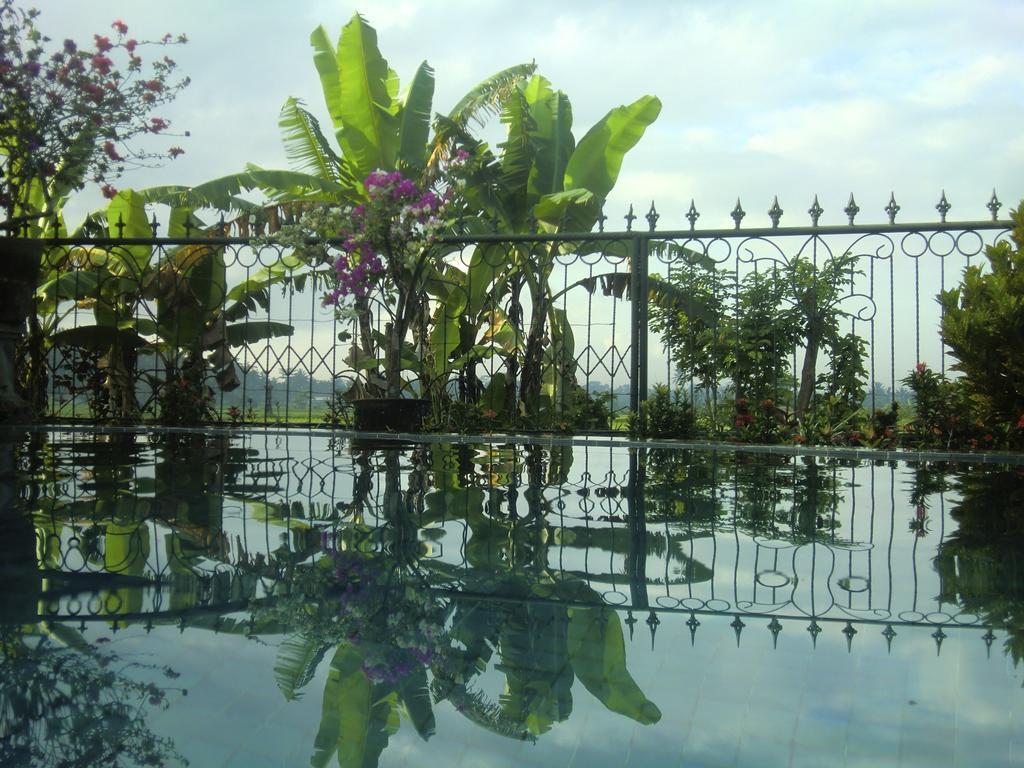 Devi's Place 2* Ubud (Bali)
