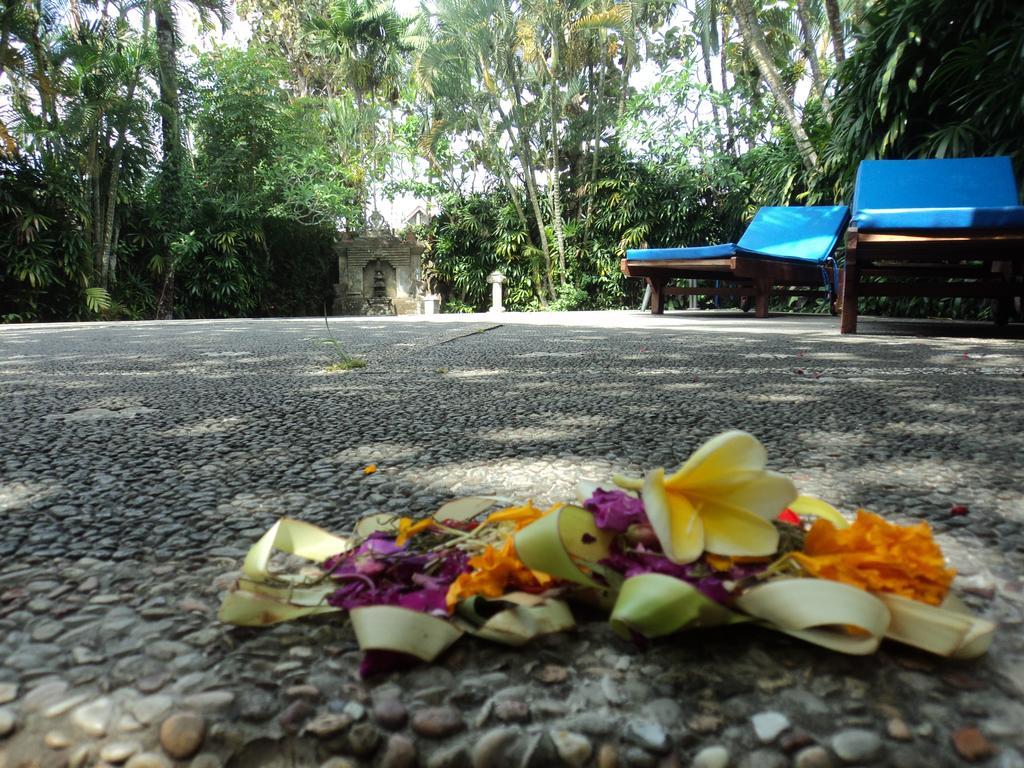Bhuana Alit Guest house Ubud (Bali)
