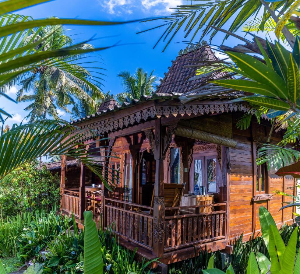 Neyang Ubud (Bali)