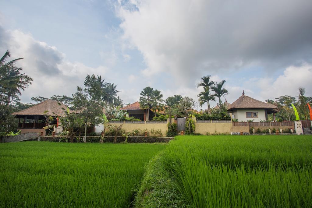 Bed & Breakfast Ubud Luwih Nature Retreat 4*