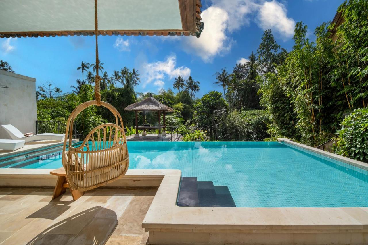Vila Luxury In Center W/ Natural Pool La Bohemia *