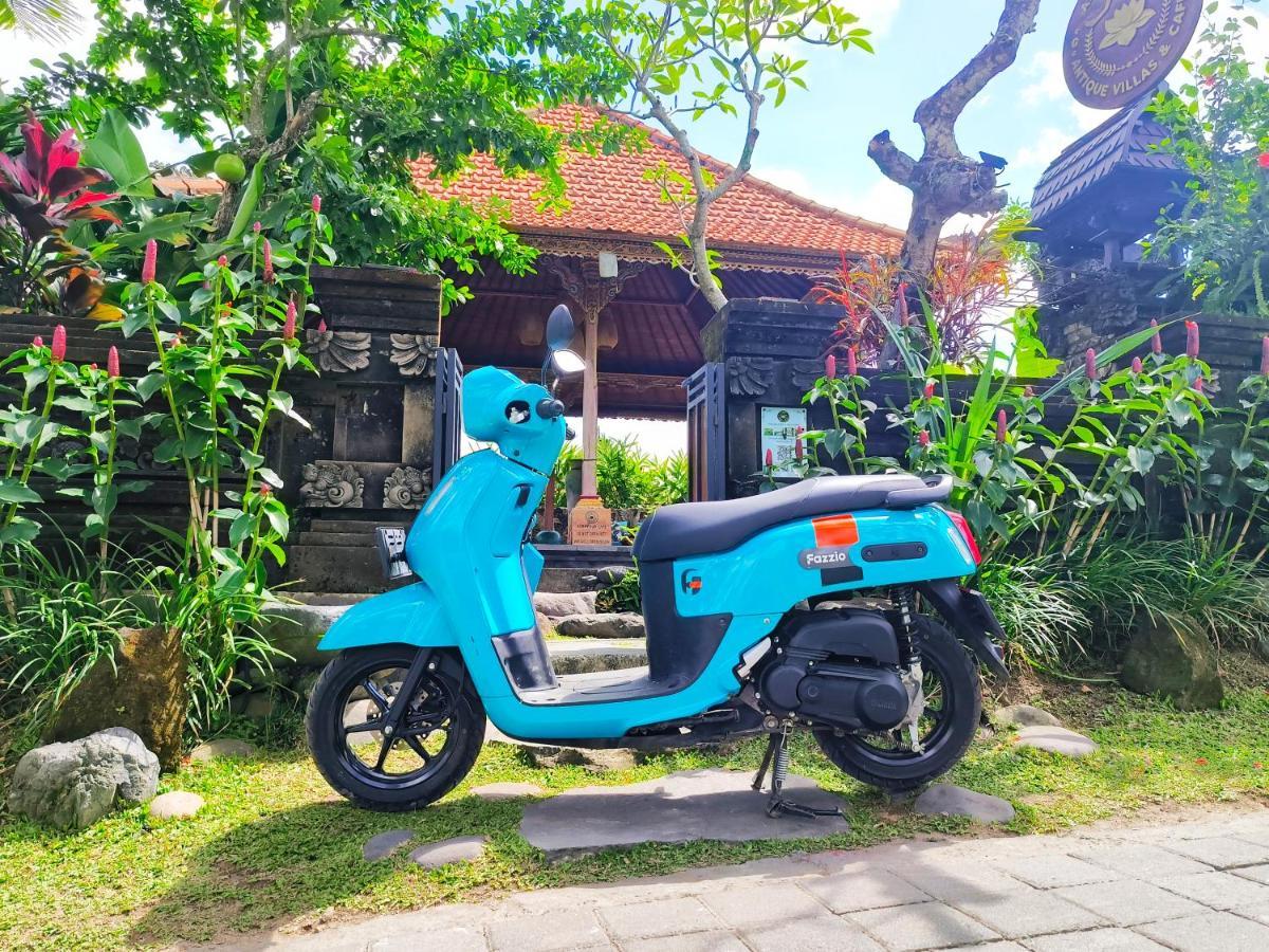 Airsania Antique Villa *