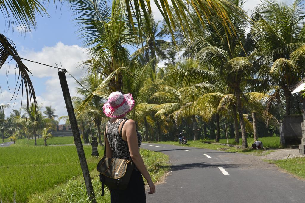 Angel House Ubud Eco Villa 3*