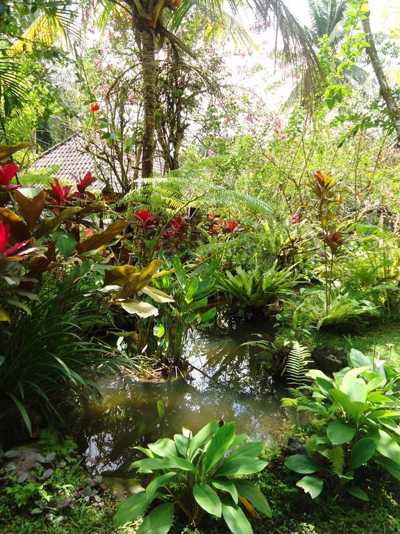 Gusti's Garden Guest house 4*