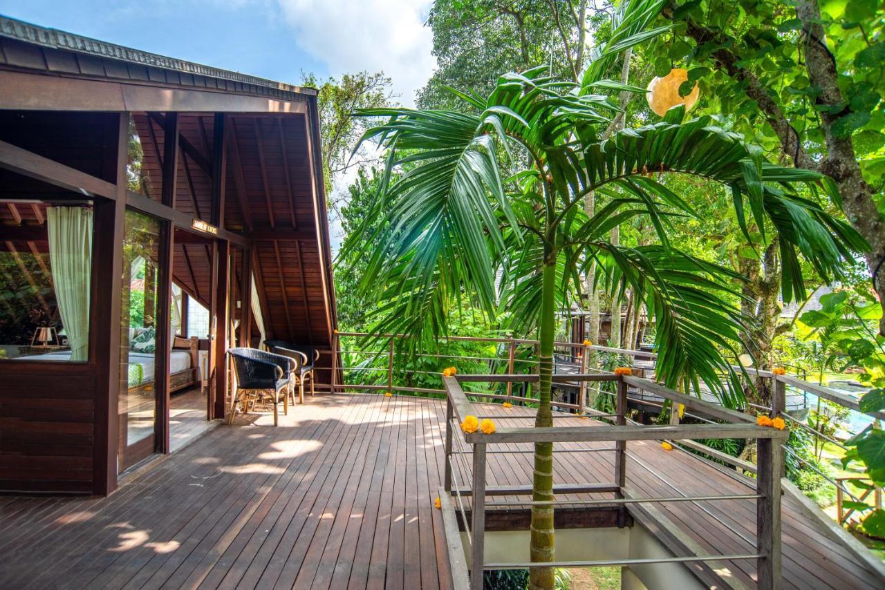 Tree House *