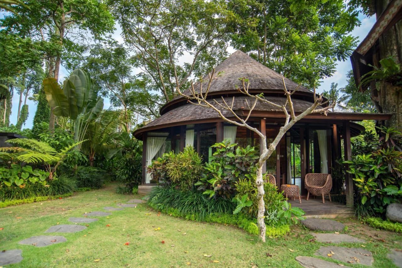 Tree House *