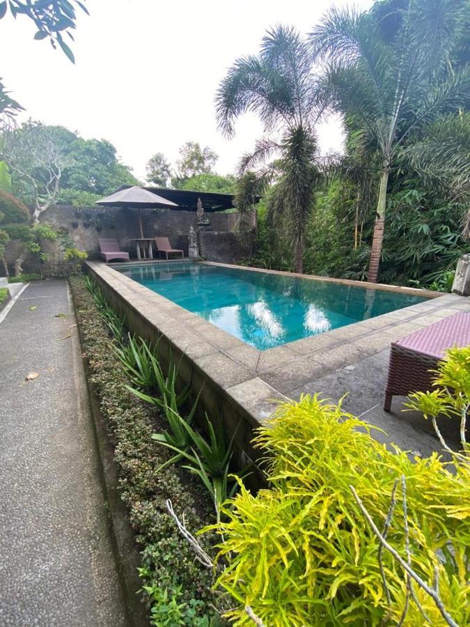 Frühstückspension Adipana Bungalow-balinese