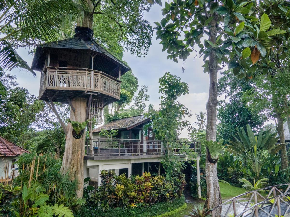 Tree House *