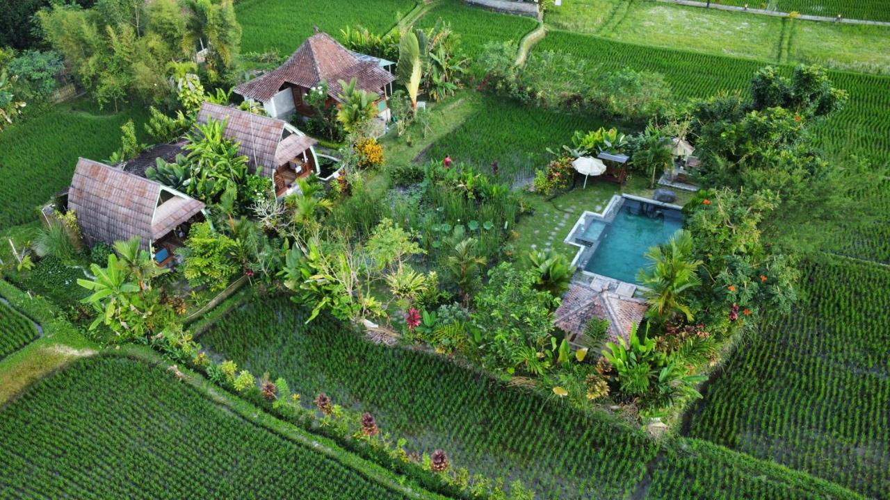 Lodge Leke Leke House Tegallalang Ubud (Bali)