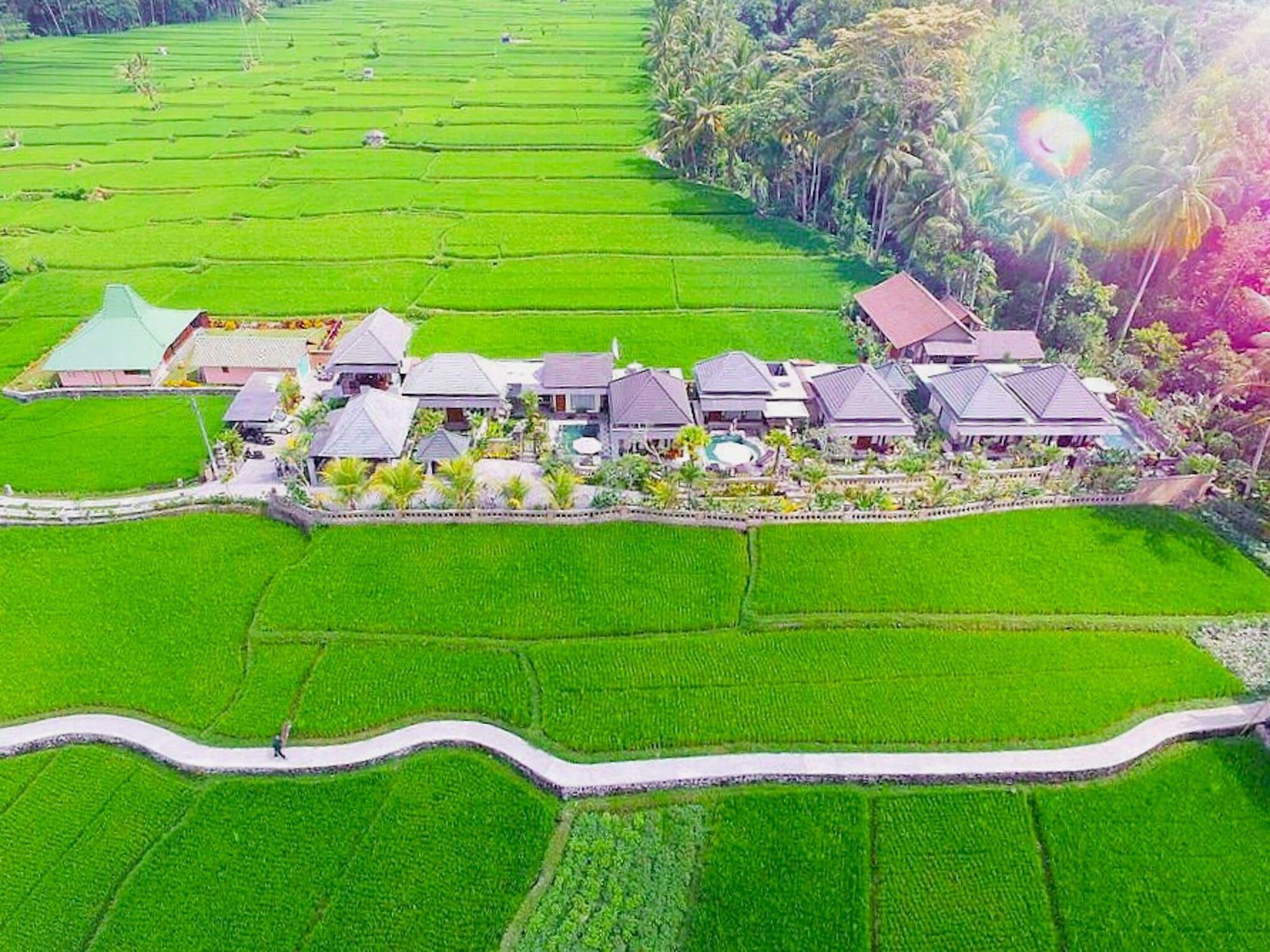 Jj And Ubud