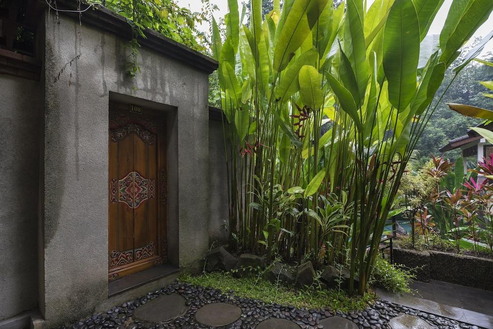 Rumah tetamu Jungle Haven