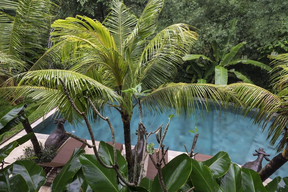 Rumah tetamu Jungle Haven