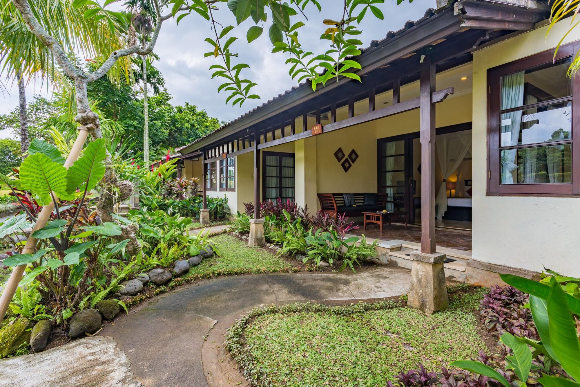 Resort Anini Raka Resort&spa 4*