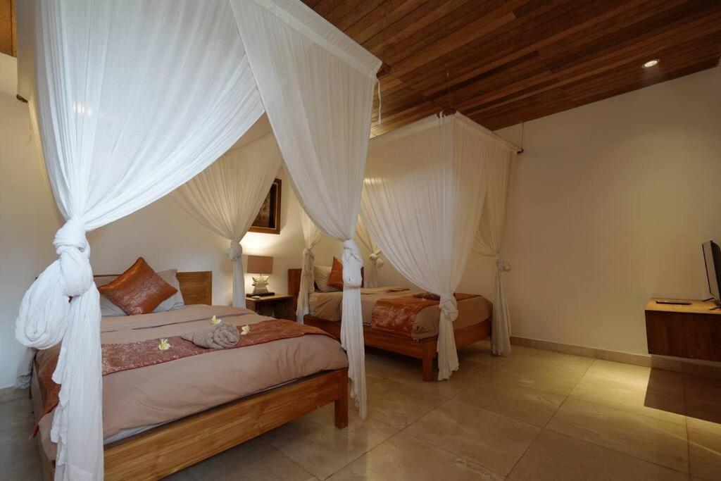 Alina - Spacious For 6 People Villa