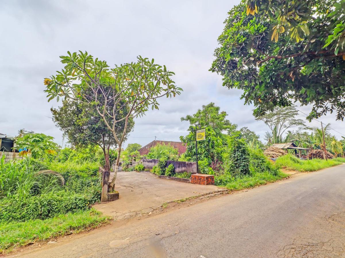 Oyo 92203 Tata Hotel Ubud