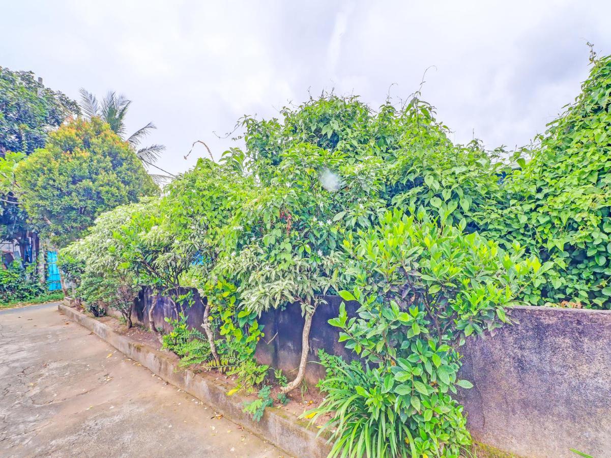Oyo 92203 Tata 2* Ubud (Bali)