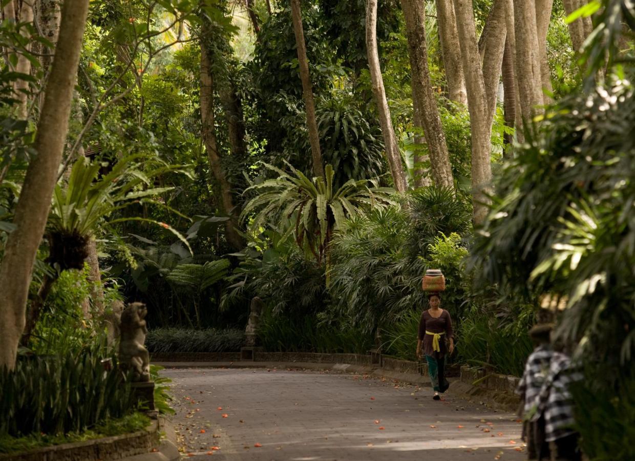 Pita Maha & Ubud (Bali)