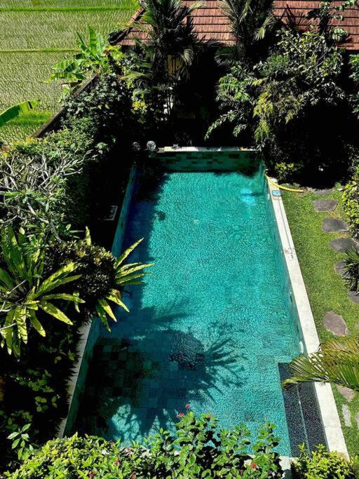 Beautiful In Center With Pool
