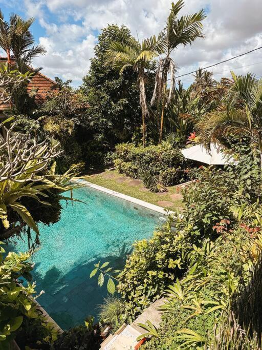 Beautiful In Center With Pool * Ubud (Bali)