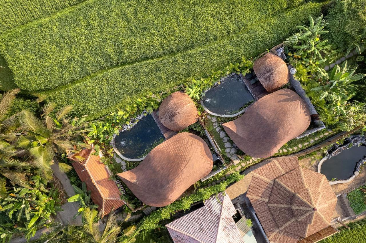 Arapan Eco Ubud (Bali)
