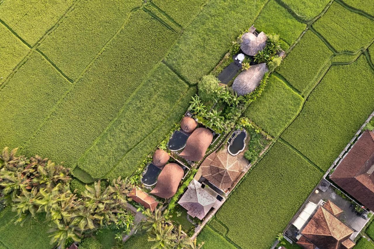 Arapan Eco * Ubud (Bali)