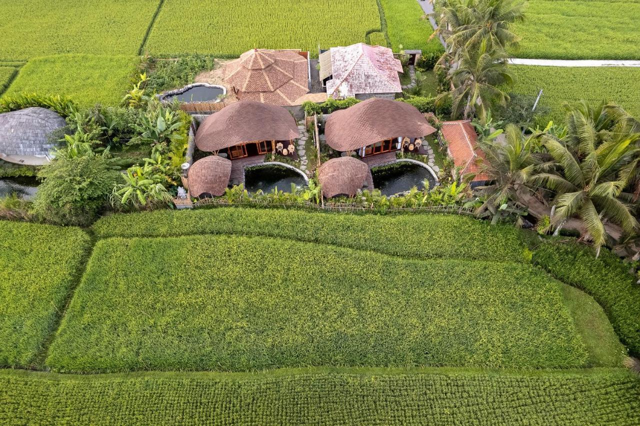 Arapan Eco Villa Ubud (Bali)