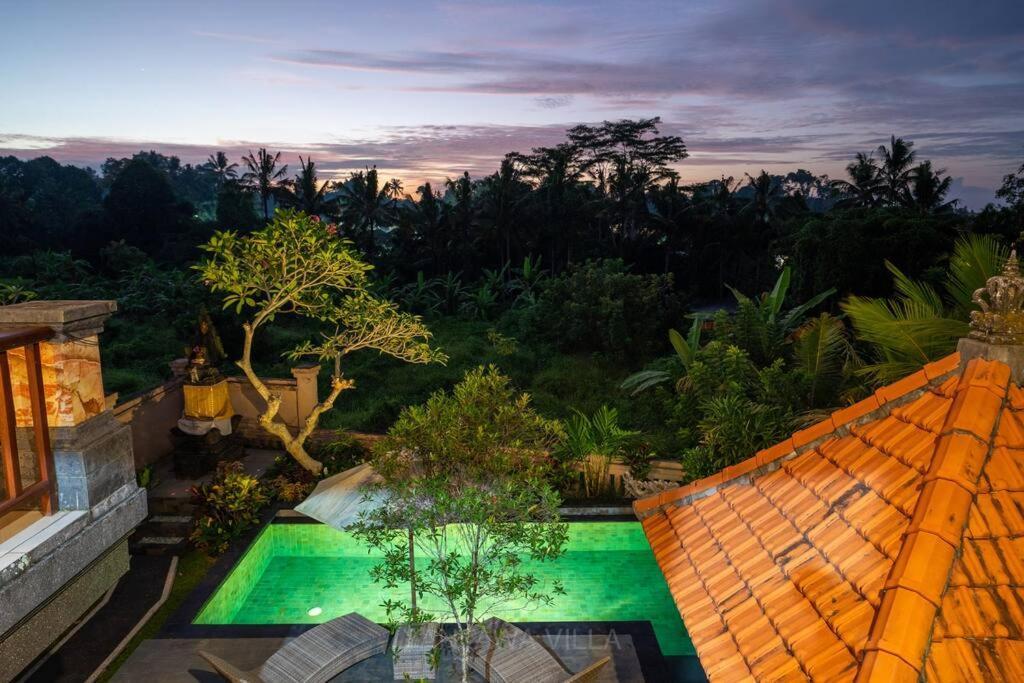 Beautiful 3 Bedroom Jungle View Villa