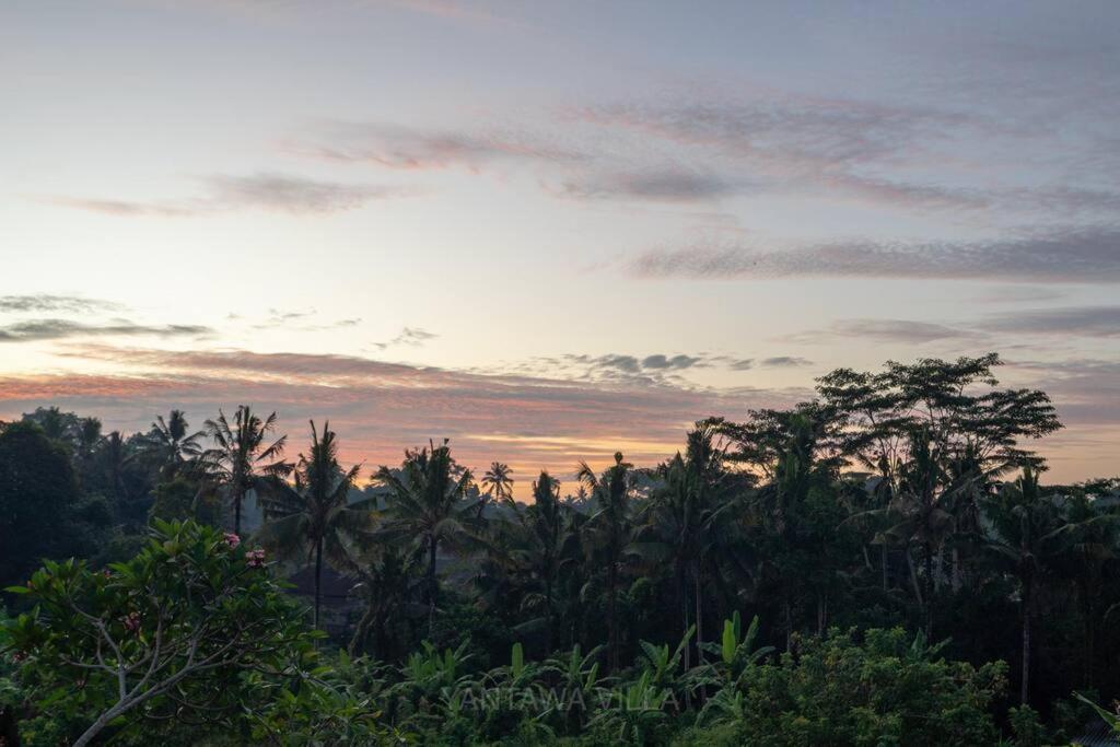 Beautiful 3 Bedroom Jungle View Villa