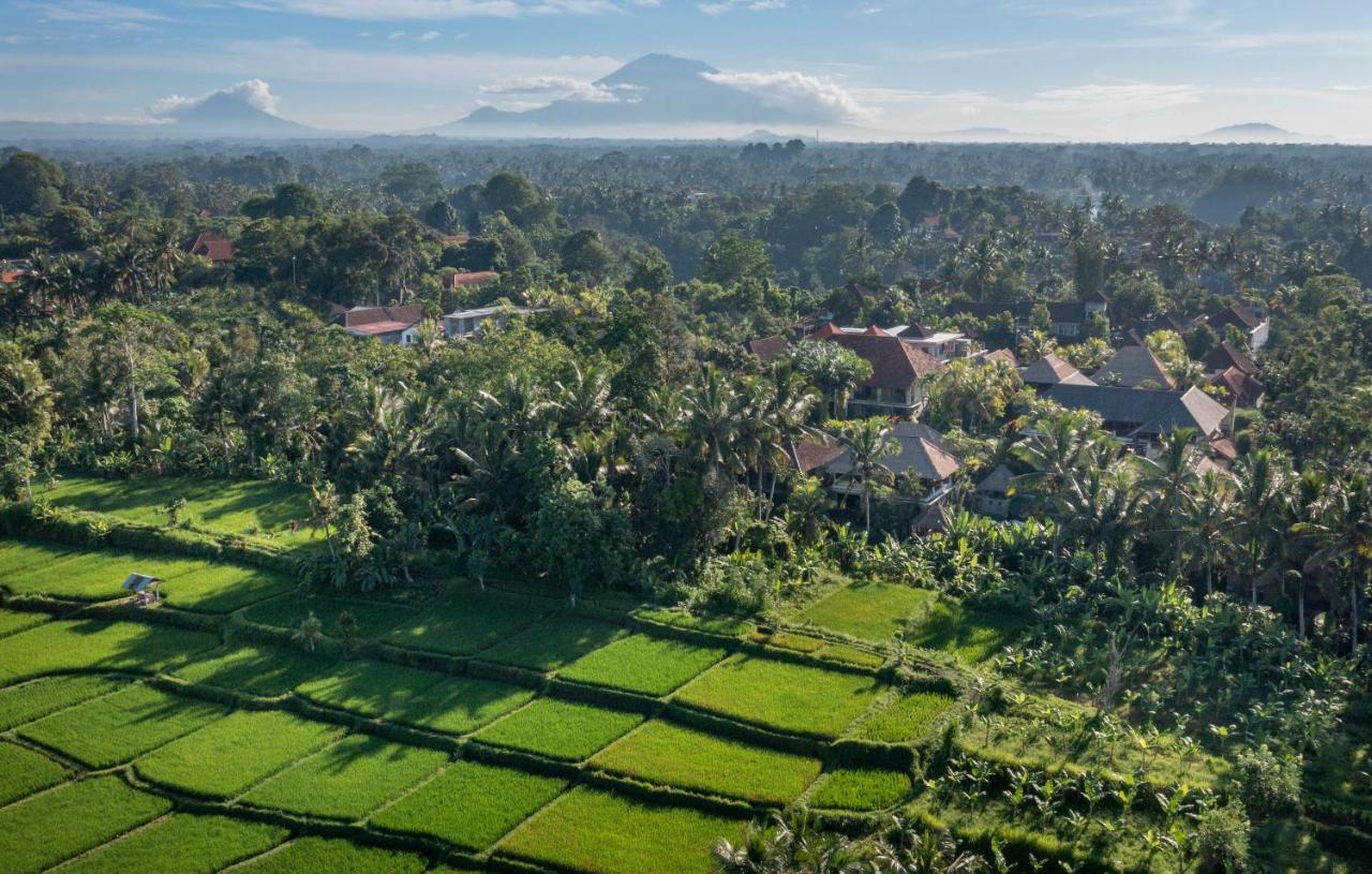 Kori Resort, Restaurant & Resort