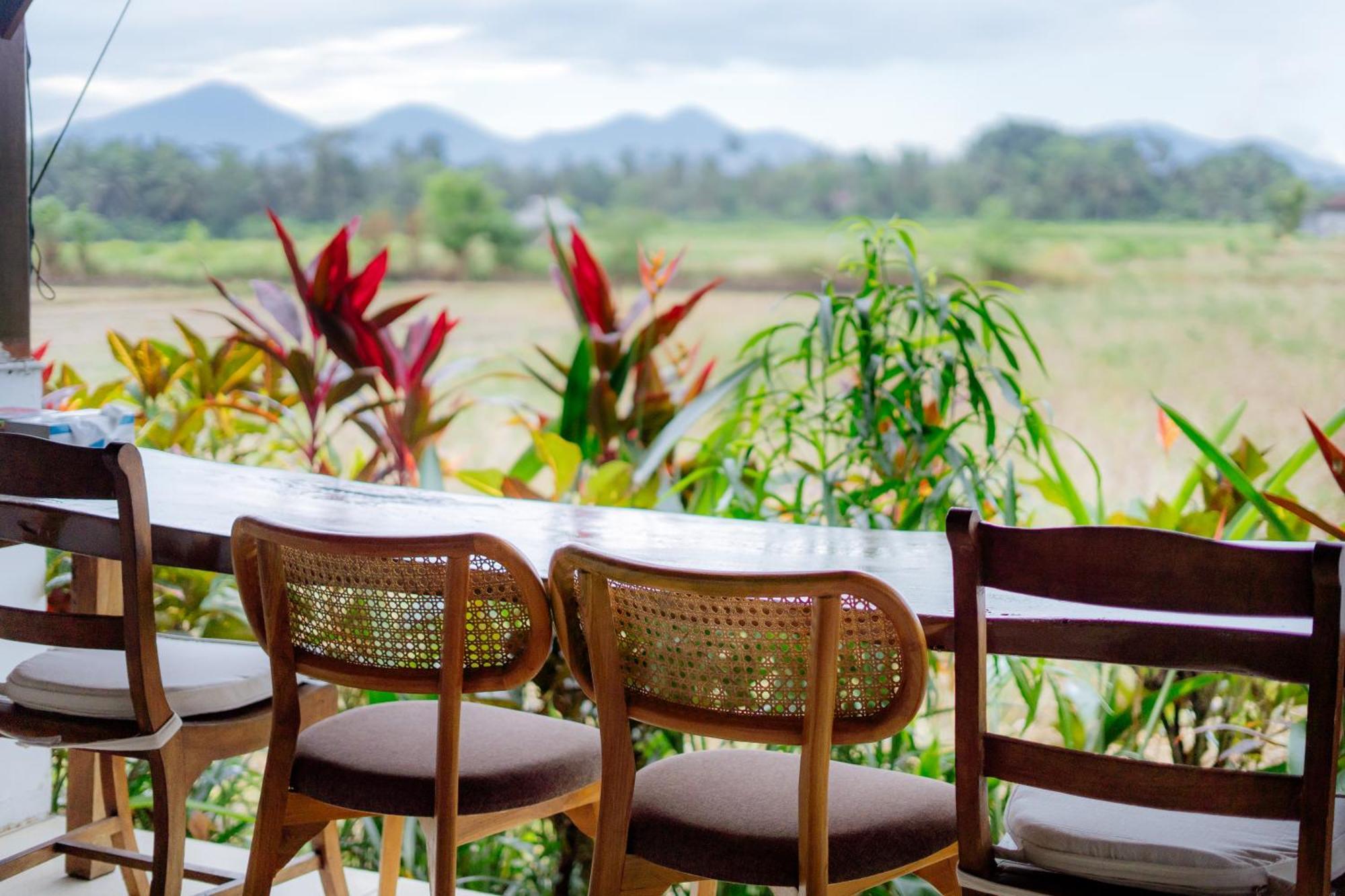 With Rice Field Views In Ubud (Bali)