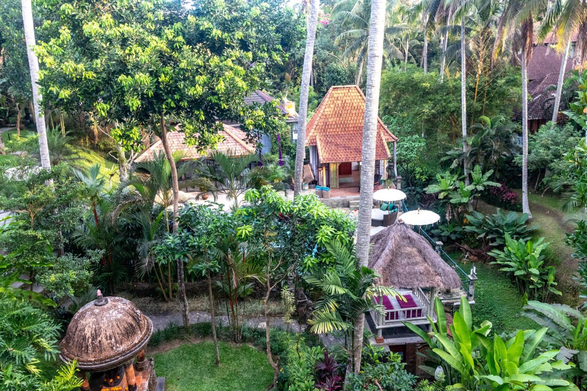 Homestay Narasoma & Retreat