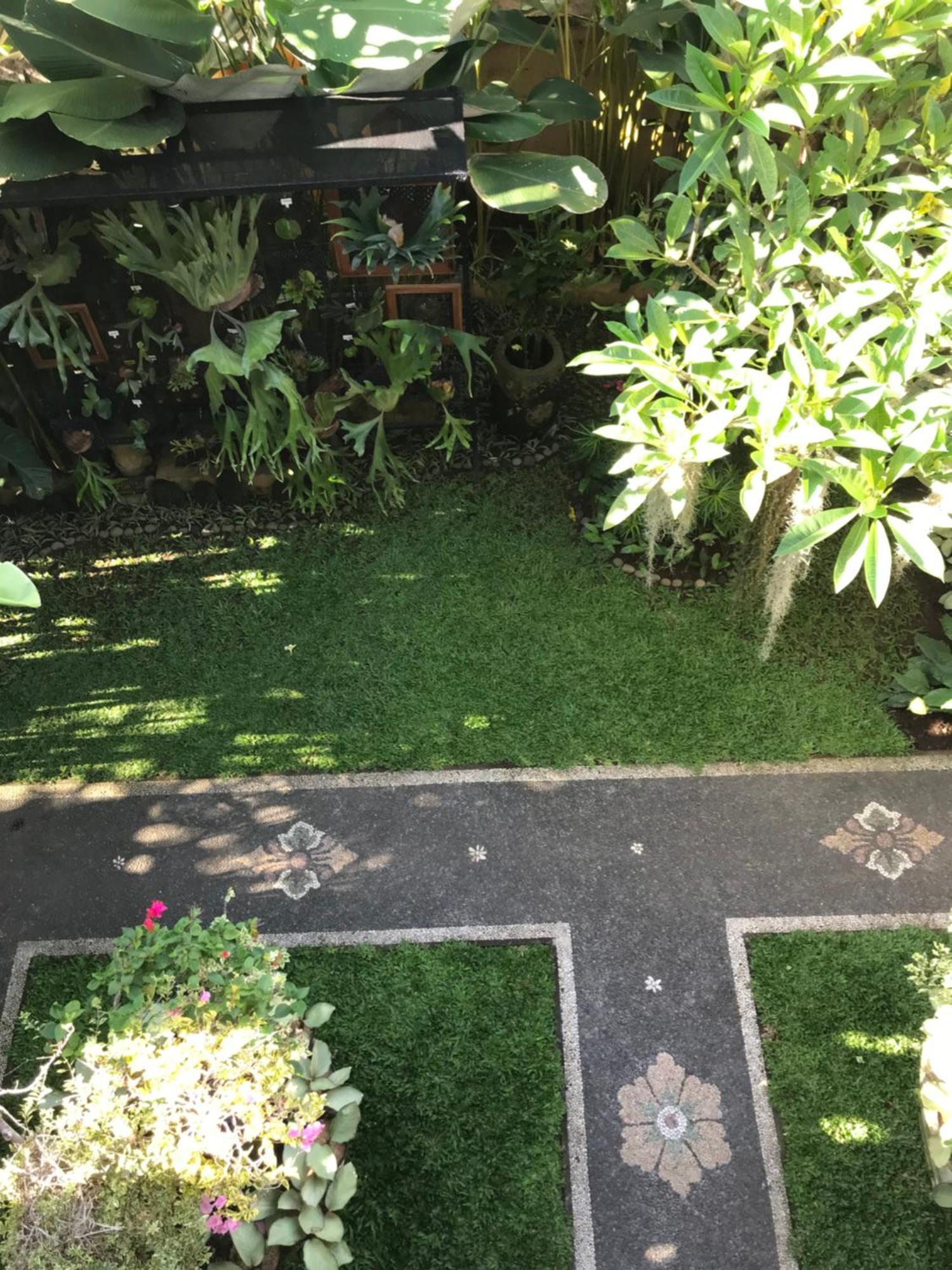 Gus Arditya Homestay Ubud (Bali)