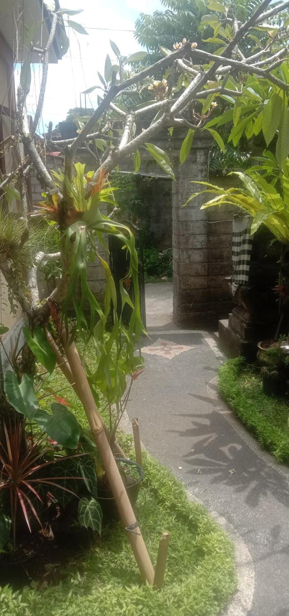 Jero House Guest house Ubud (Bali)