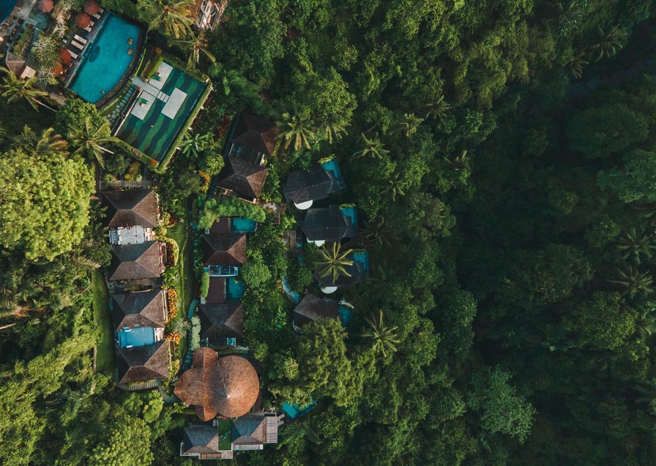Jannata And Ubud (Bali)