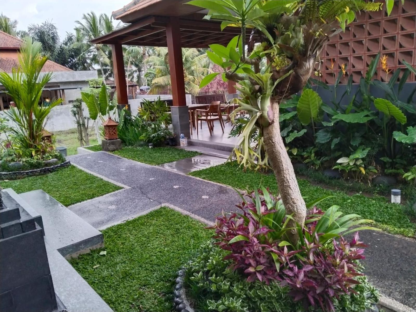 Sarwi * Ubud (Bali)