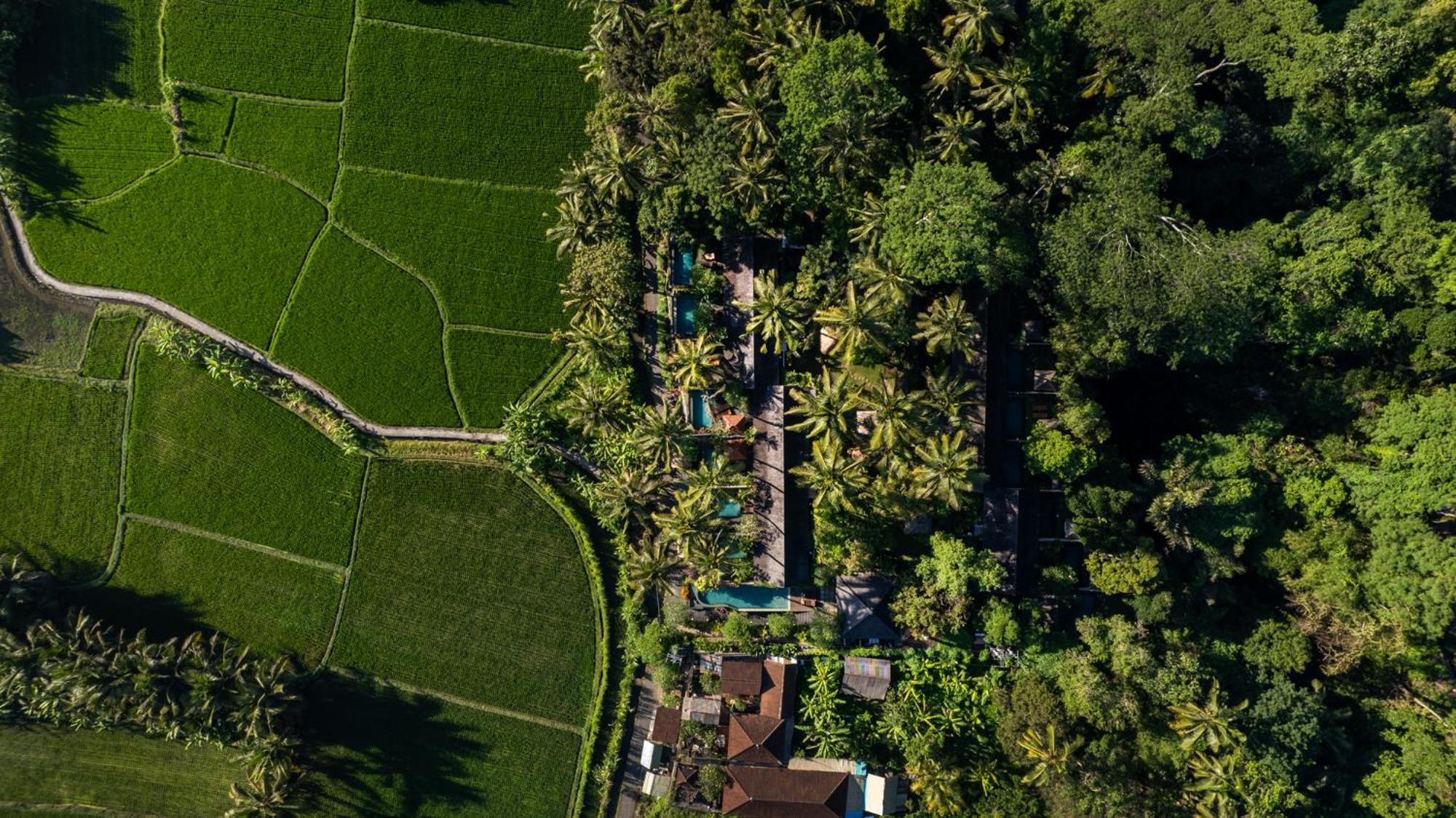 Padi Villa *