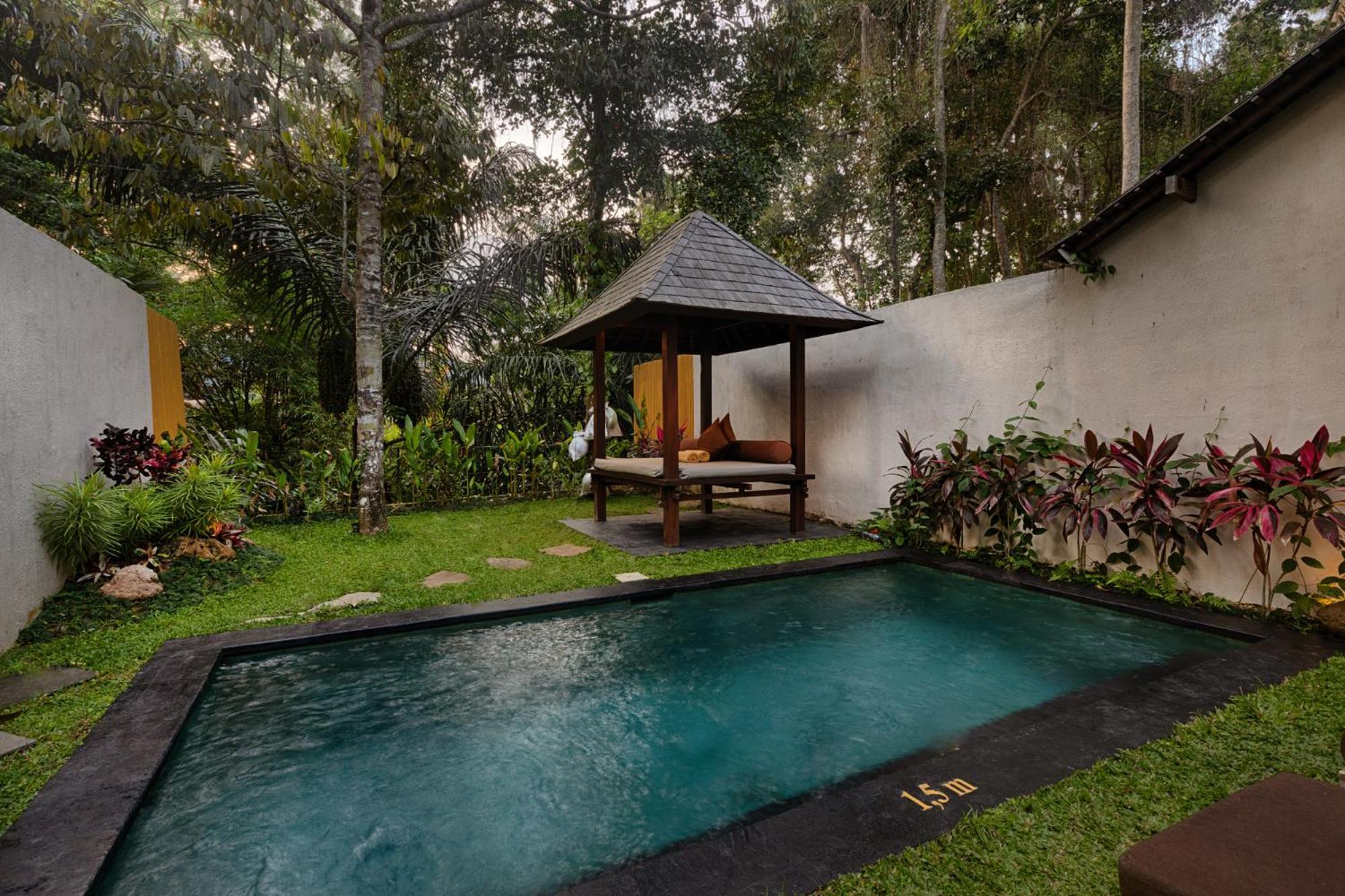 Padi Ubud
