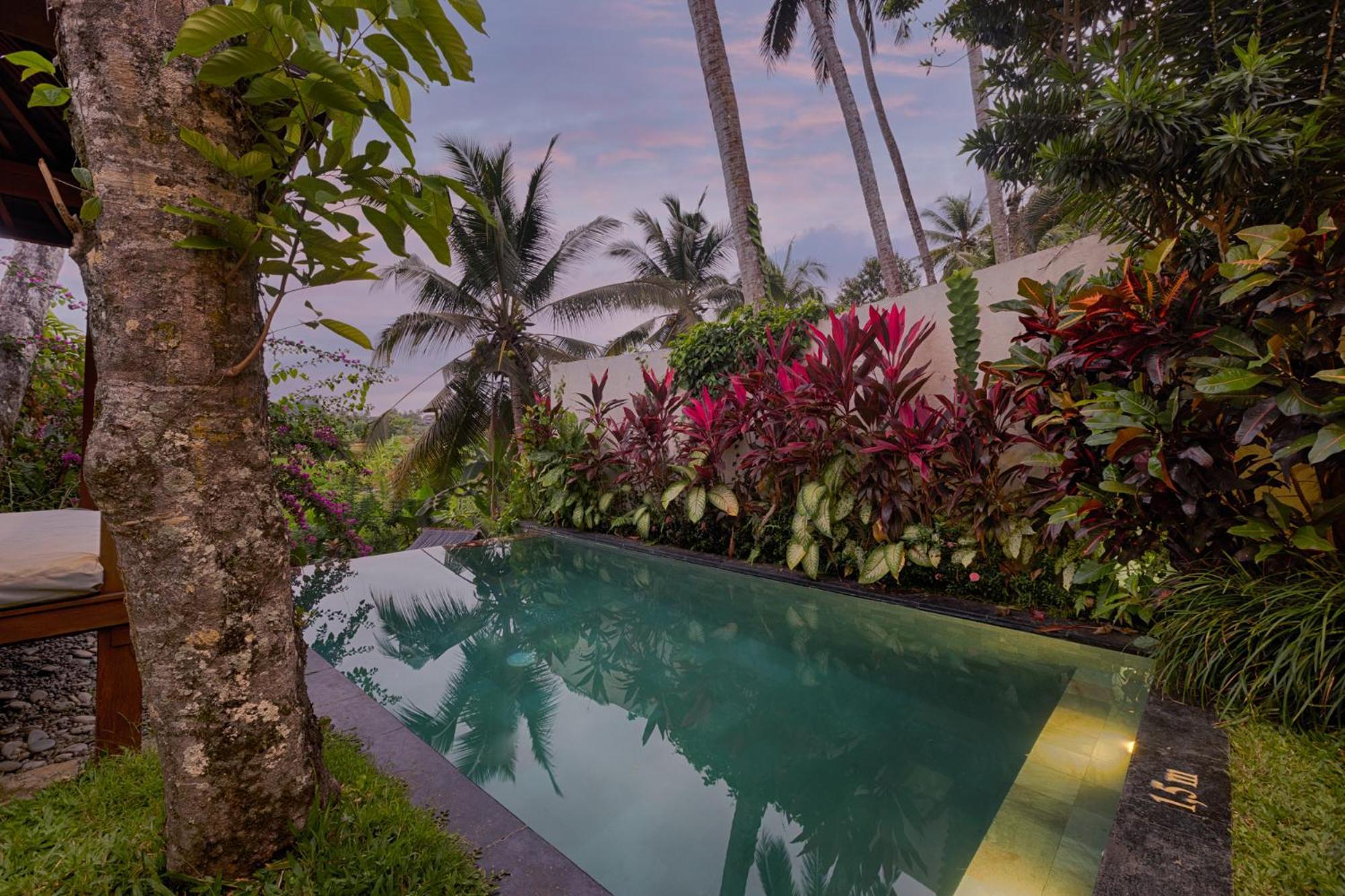 Padi Villa *
