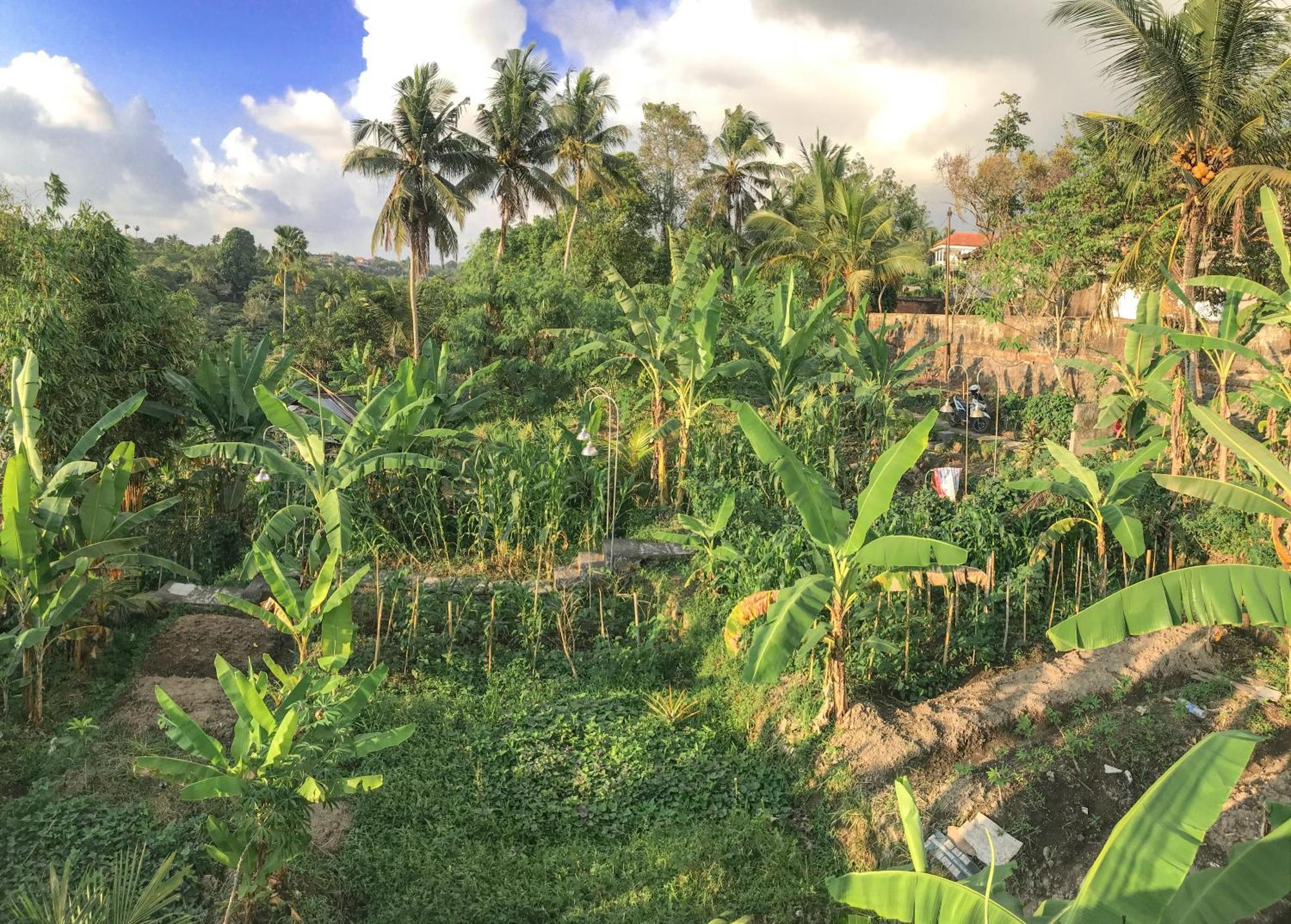 Heri House Guest house Ubud (Bali)