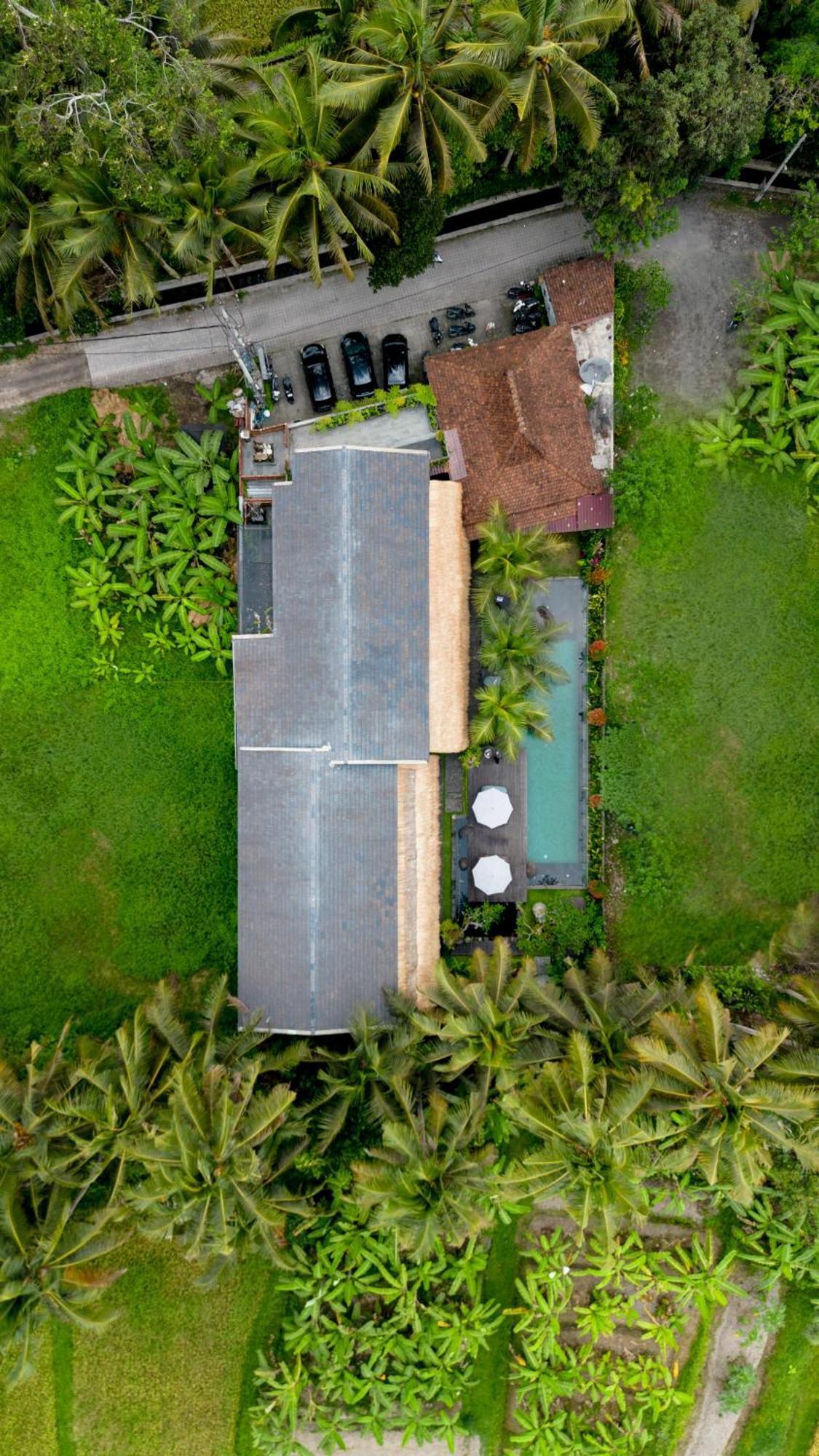 Kandarpa Chse Certified Ubud