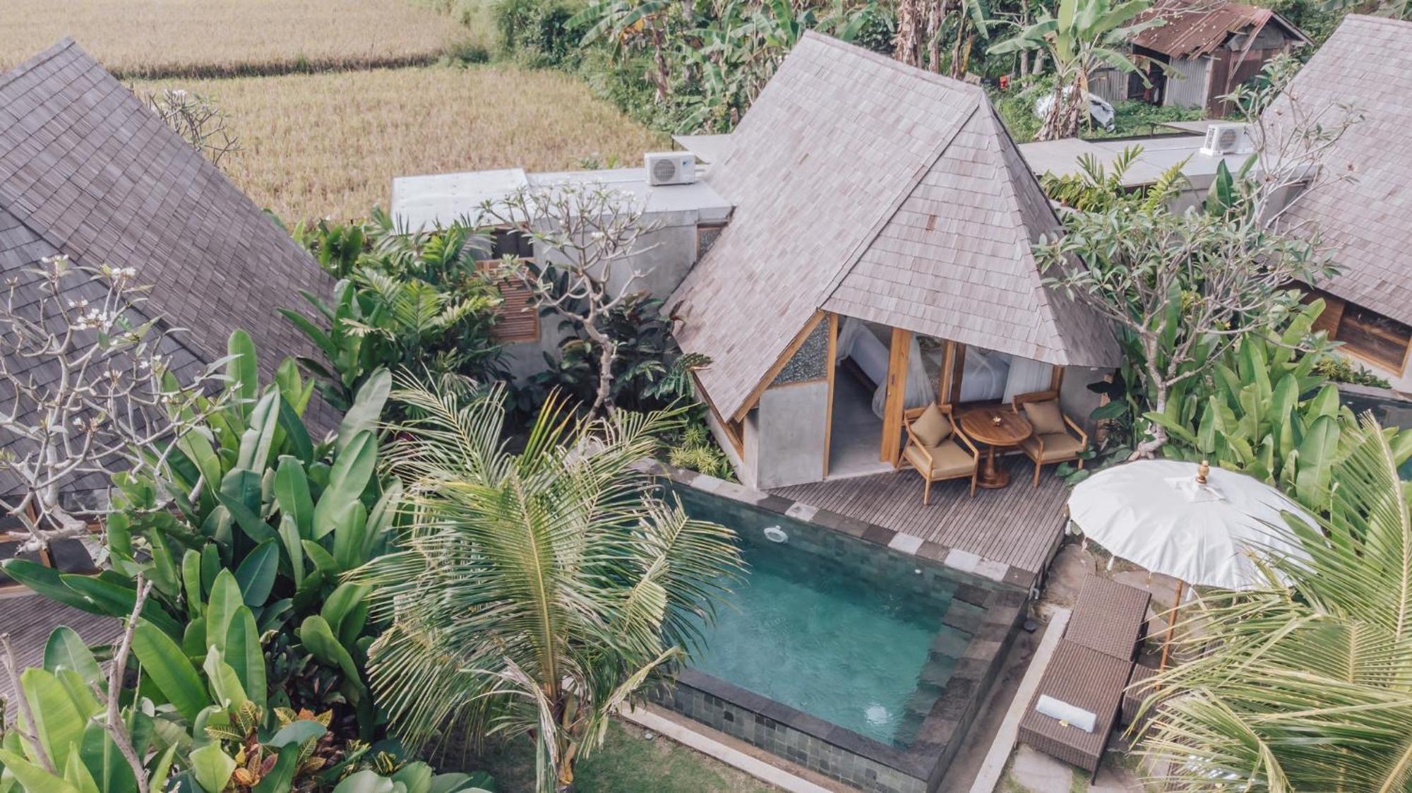 Lasamana By Pramana